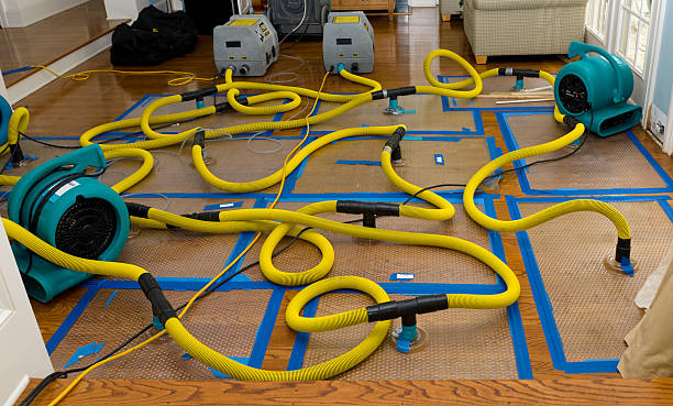 Professional Water Extraction technician working in Houstonia, MO